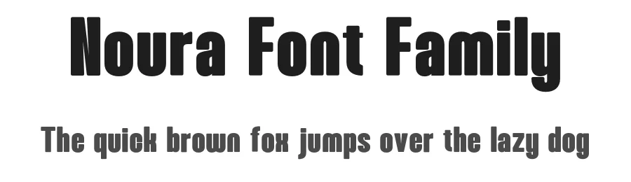 Noura Font Family by Circlefont β Sans Serif Font
