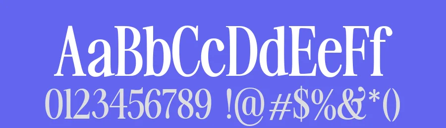 Noveira Serif Font by Dantype — Serif Font — thumbnail 3