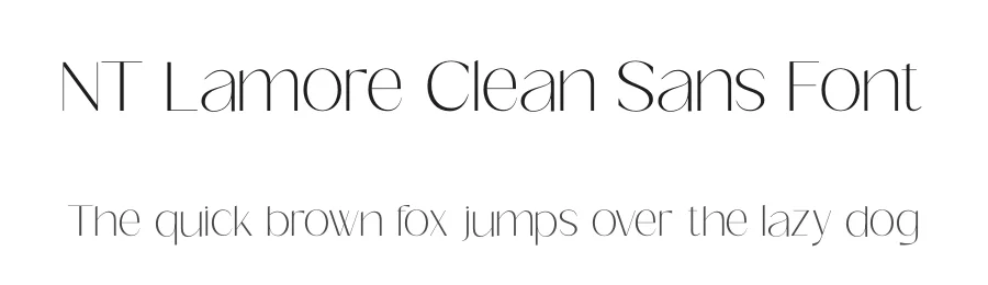 NT Lamore Clean Sans Font by NeoType β Display Font