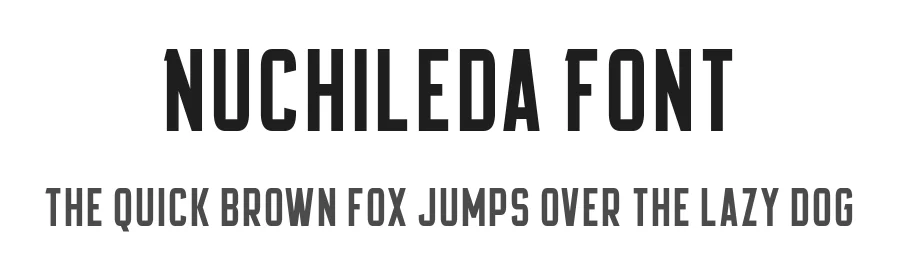 Nuchileda Font by Chequered Ink — Display Font
