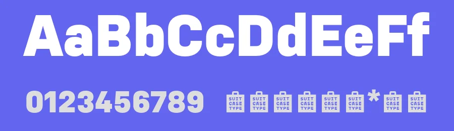 Nudista Font Family by Suitcase Type Foundry — Decorative Font — thumbnail 3
