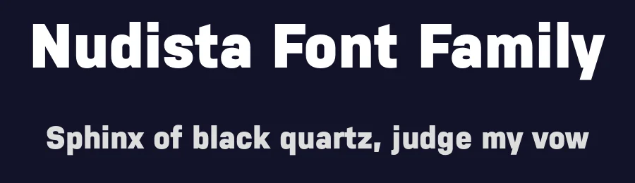 Nudista Font Family by Suitcase Type Foundry — Decorative Font — thumbnail 2