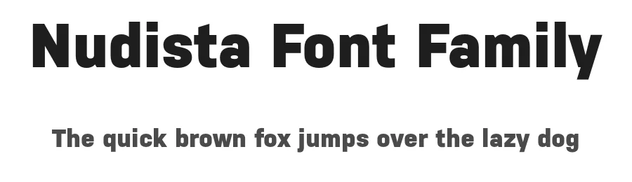 Nudista Font Family by Suitcase Type Foundry — Decorative Font