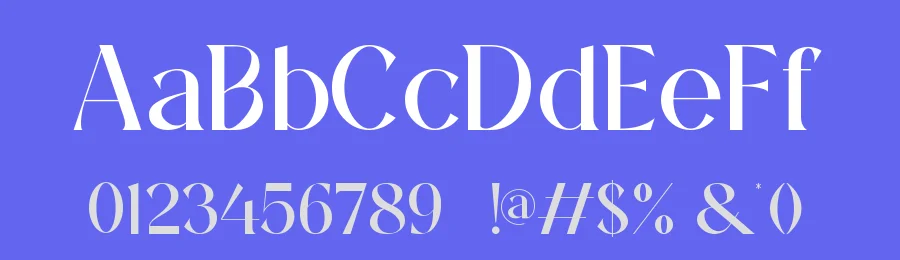 Nulaye || Modern Classy Serif Font by ErmediaStudio — Display Font — thumbnail 3