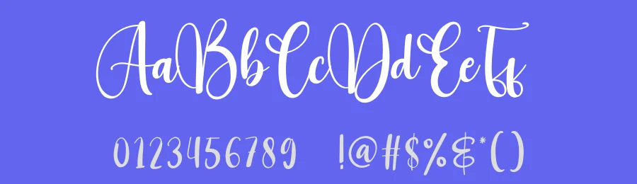 Number Script Font by creativeletter — Script Handwritten Font — thumbnail 3
