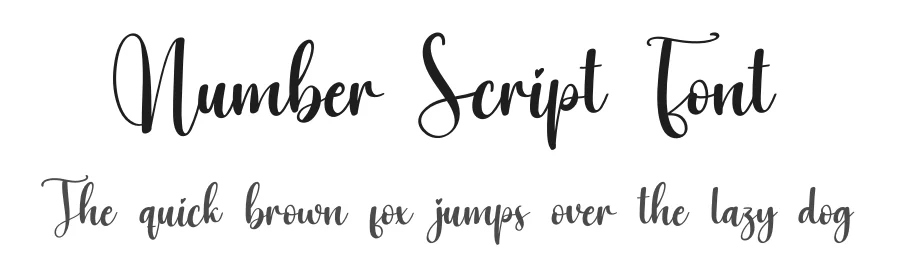 Number Script Font by creativeletter — Script Handwritten Font