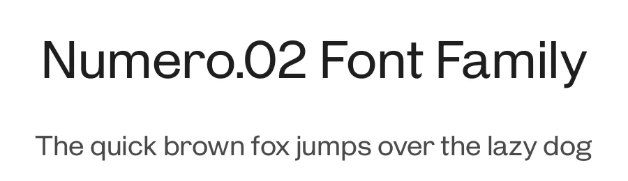 Numero.02 Font Family by Black Foundry — Sans Serif Font