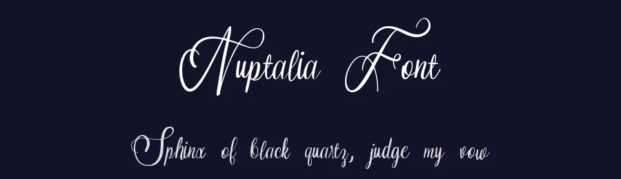Nuptalia Font by Dmletter studio — Script Handwritten Font — thumbnail 2