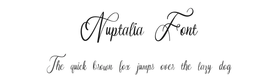 Nuptalia Font by Dmletter studio — Script Handwritten Font