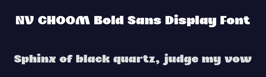 NV CHOOM Bold Sans Display Font by novaratype — Sans Serif Font — thumbnail 2