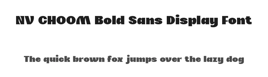 NV CHOOM Bold Sans Display Font by novaratype — Sans Serif Font