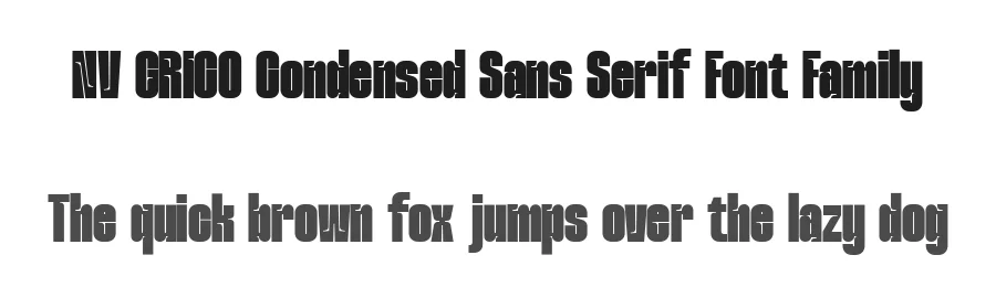 NV GRICO Condensed Sans Serif Font Family by novaratype — Decorative Font