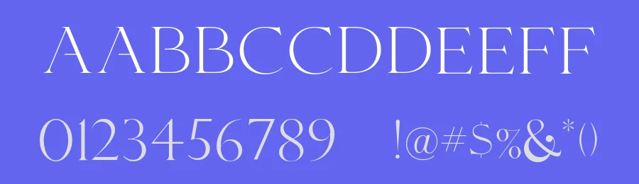 Nyore Font by Vroz Studio — Serif Font — thumbnail 3
