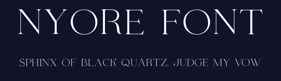 Nyore Font by Vroz Studio — Serif Font — thumbnail 2