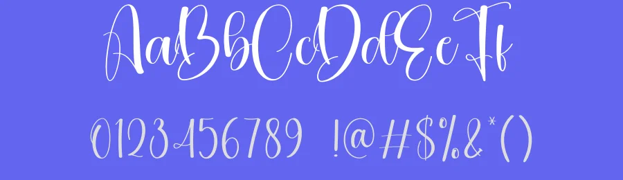 Oatmeal Calligraphy Script Font by creativeletter — Script Handwritten Font — thumbnail 3