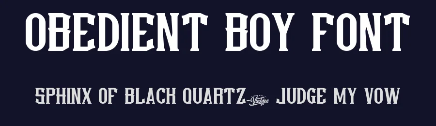 Obedient Boy Font by VinType — Display Font — thumbnail 2