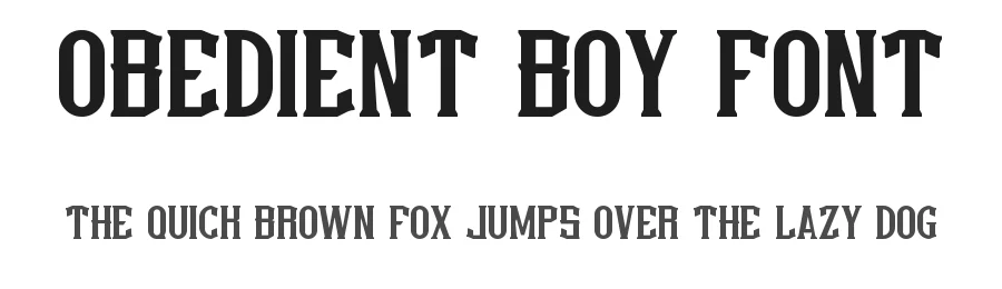 Obedient Boy Font by VinType — Display Font