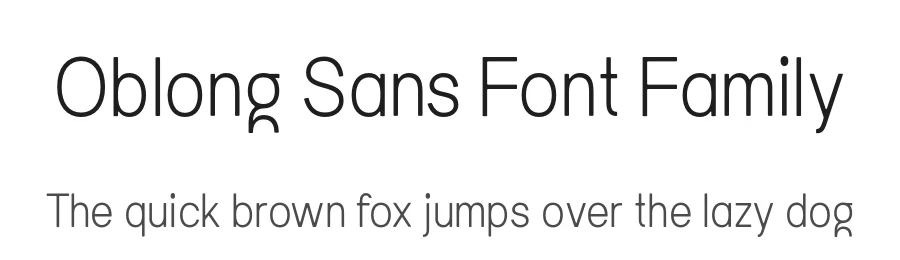 Oblong Sans Font Family by Johanne Lian Olsen โ Decorative Font
