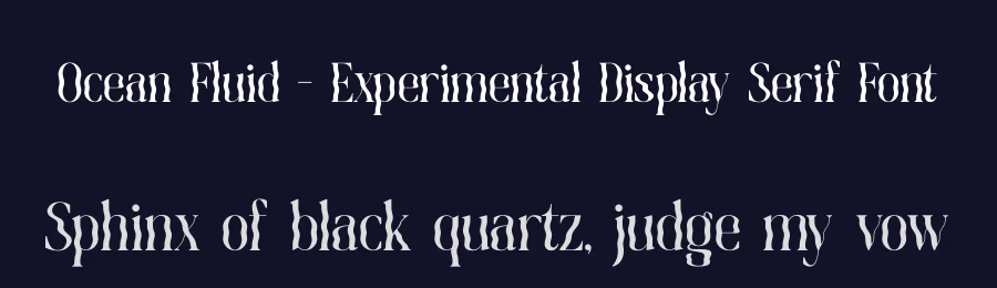 Ocean Fluid – Experimental Display Serif Font by timelesstype.co — Display Font — thumbnail 2