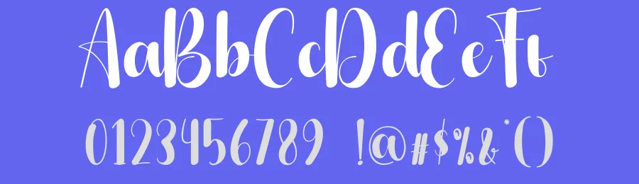 Octopus Script Typeface by andikastudio — Script Handwritten Font — thumbnail 3