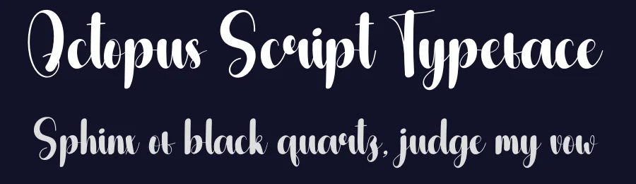 Octopus Script Typeface by andikastudio — Script Handwritten Font — thumbnail 2