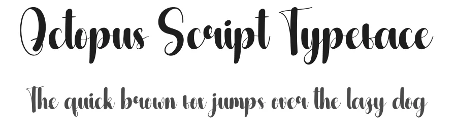 Octopus Script Typeface by andikastudio — Script Handwritten Font