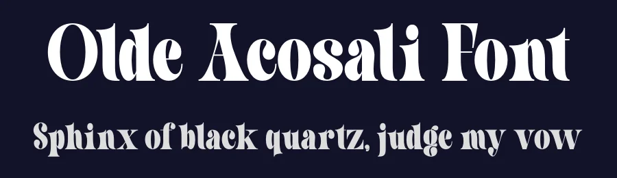 Olde Acosali Font by MaikoHatta — Serif Font — thumbnail 2