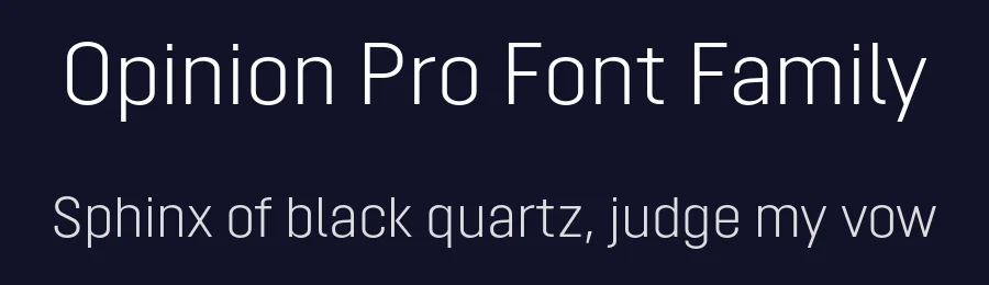 Opinion Pro Font Family by Mint Type — Sans Serif Font — thumbnail 2