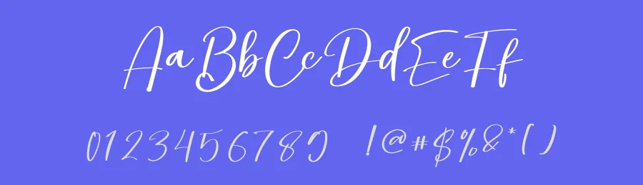 Optional Script Font by inermediaSTUDIO — Script Handwritten Font — thumbnail 3