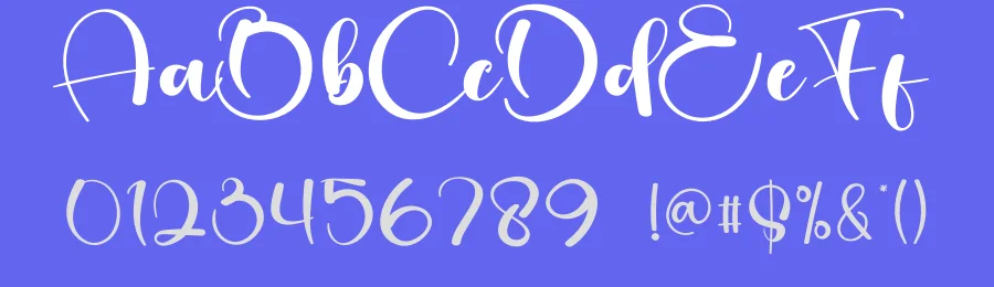 Orange Calligraphy Script Font by creativeletter — Script Handwritten Font — thumbnail 3
