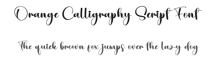 Orange Calligraphy Script Font by creativeletter — Script Handwritten Font