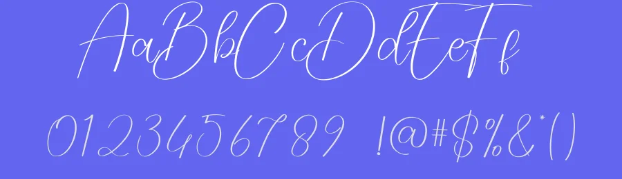 Orange Script Typeface by creativeletter — Script Handwritten Font — thumbnail 3