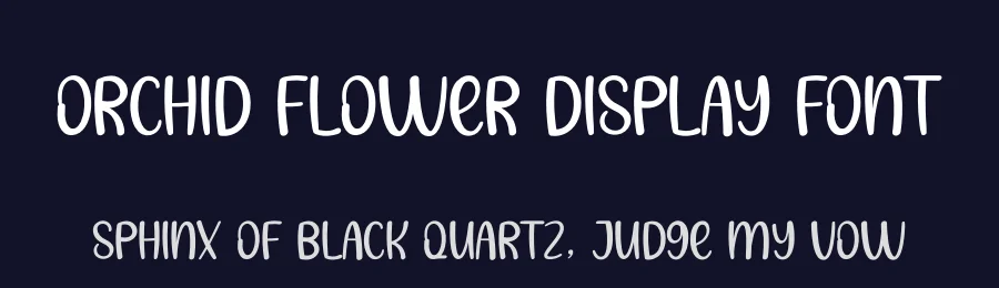 Orchid Flower Display Font by creativeletter — Script Handwritten Font — thumbnail 2