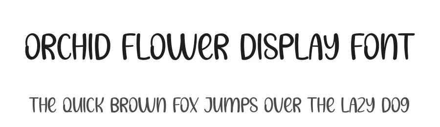 Orchid Flower Display Font by creativeletter — Script Handwritten Font