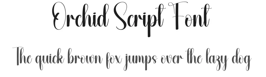 Orchid Script Font by andikastudio — Script Handwritten Font