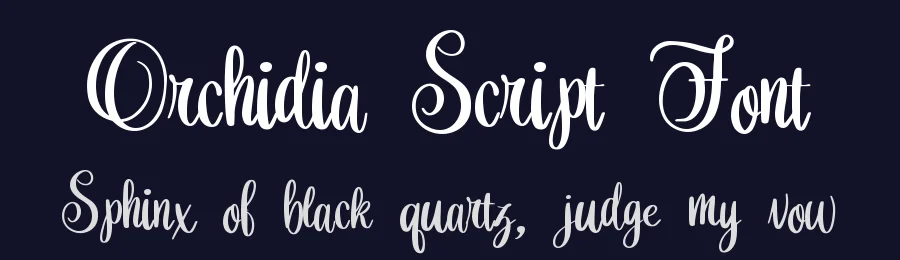 Orchidia Script Font by Dm Letter Studio — Script Handwritten Font — thumbnail 2