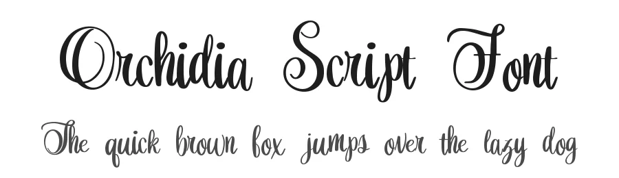Orchidia Script Font by Dm Letter Studio — Script Handwritten Font