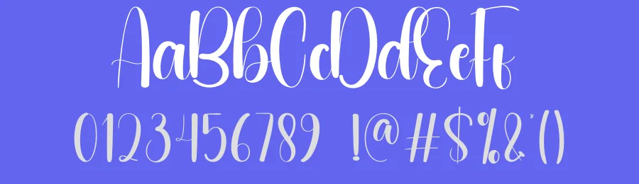 Orderly Script Font by andikastudio — Script Handwritten Font — thumbnail 3