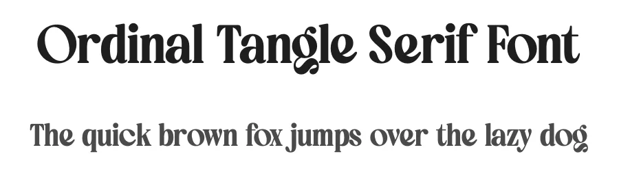 Ordinal Tangle Serif Font by timelesstype.co — Display Font