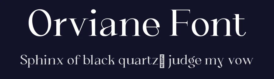 Orviane Font by sixtypefoundry — Serif Font — thumbnail 2