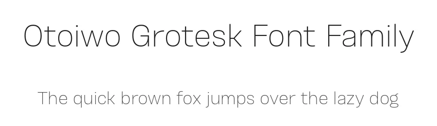 Otoiwo Grotesk Font Family by Pepper Type — Decorative Font