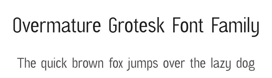 Overmature Grotesk Font Family by UICreative β Decorative Font