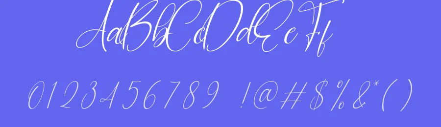 Overthinking Calligraphy Script Font by creativeletter — Script Handwritten Font — thumbnail 3