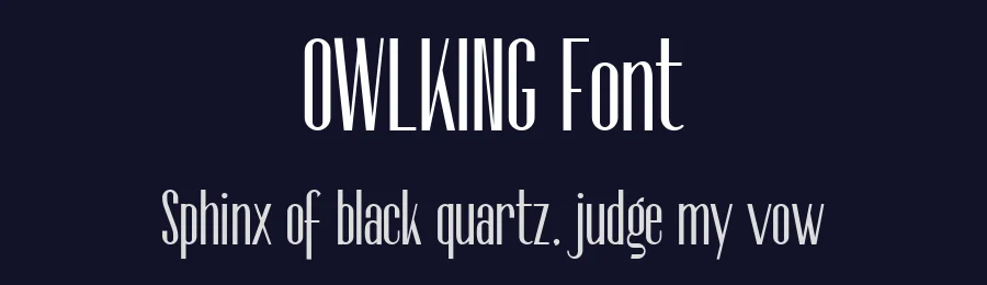 OWLKING Font by OWL KING — Sans Serif Font — thumbnail 2