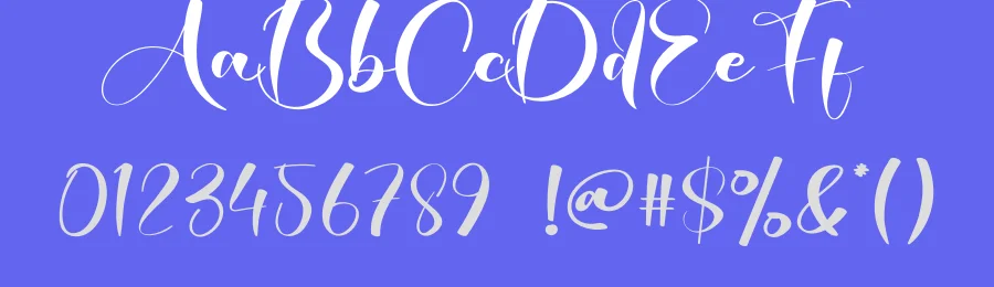 Owner Script Font by creativeletter — Script Handwritten Font — thumbnail 3