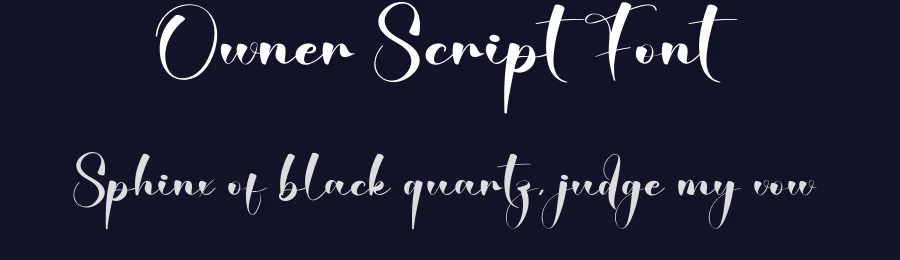 Owner Script Font by creativeletter — Script Handwritten Font — thumbnail 2