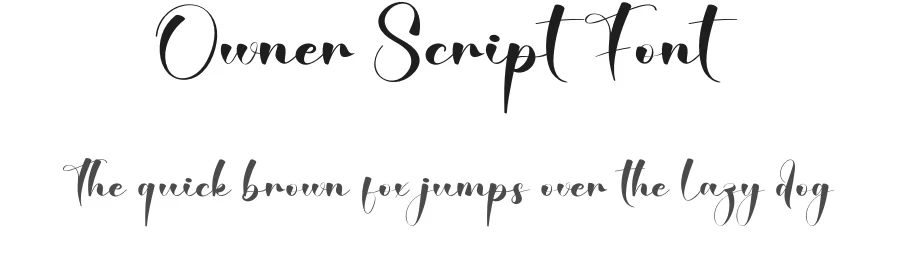 Owner Script Font by creativeletter — Script Handwritten Font