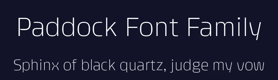 Paddock Font Family by Plau — Decorative Font — thumbnail 2