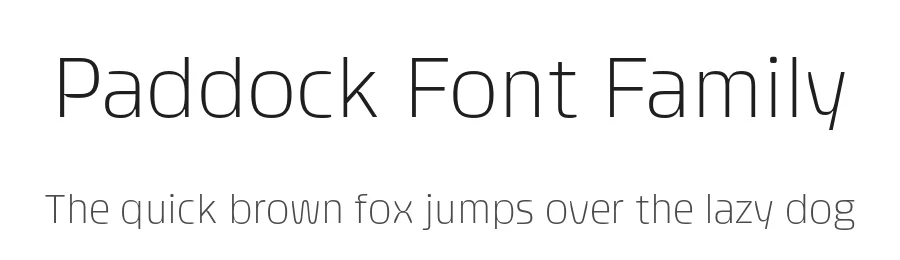 Paddock Font Family by Plau — Decorative Font