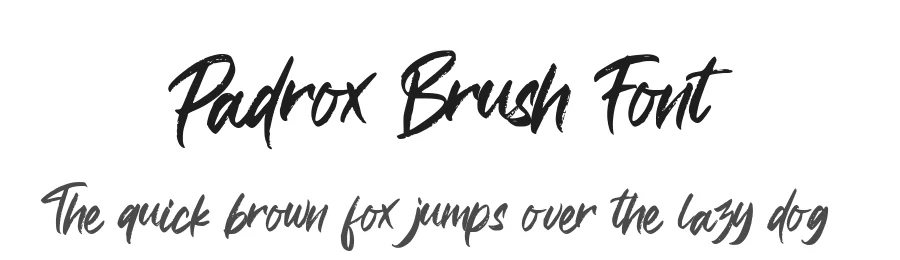 Padrox Brush Font by letterenastudios — Script Handwritten Font